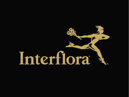 Interflora Black Friday 2021 - $10 Off Orders Over $90 4